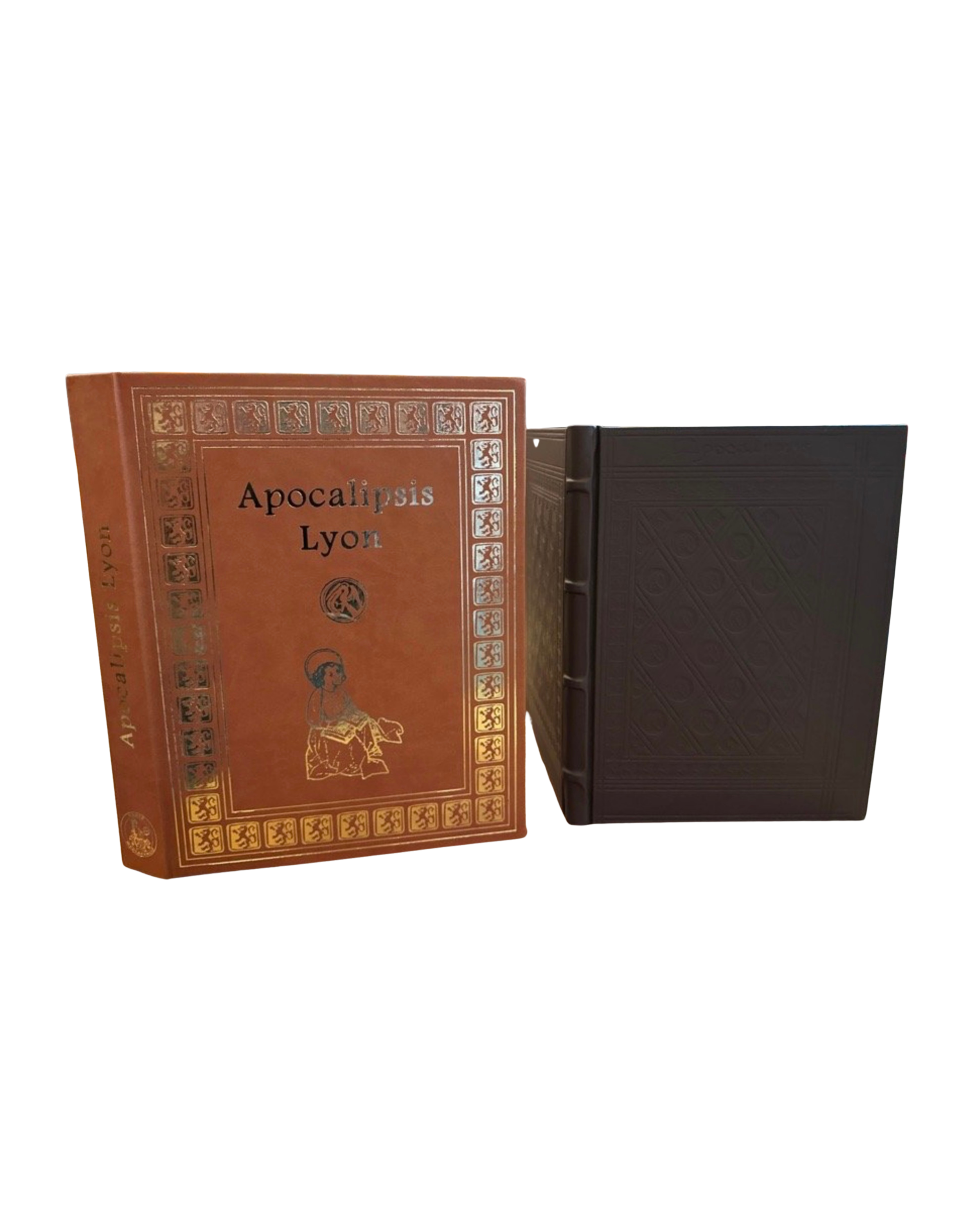 Apocalypsis de Lyon