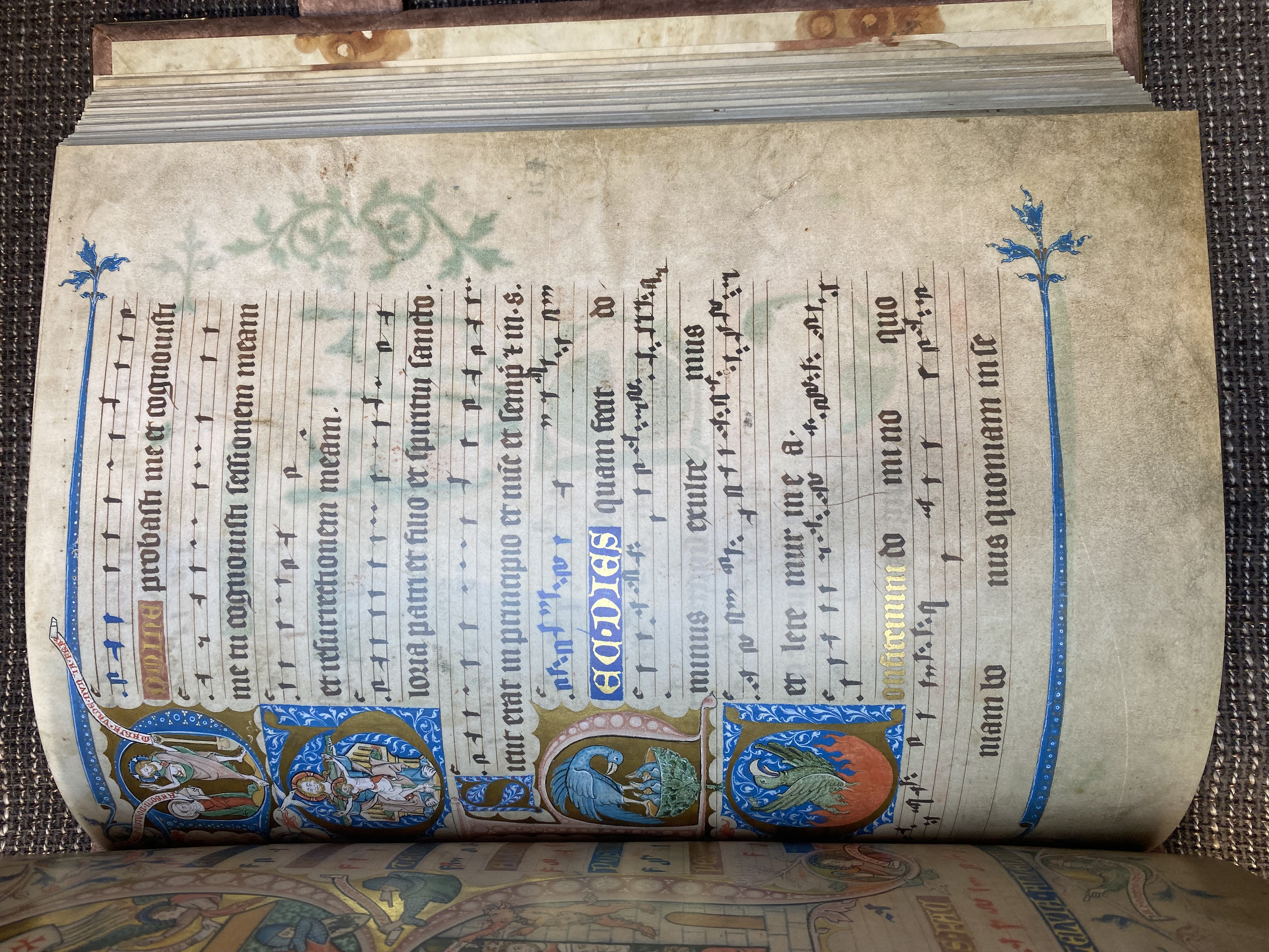 Codex Gisle