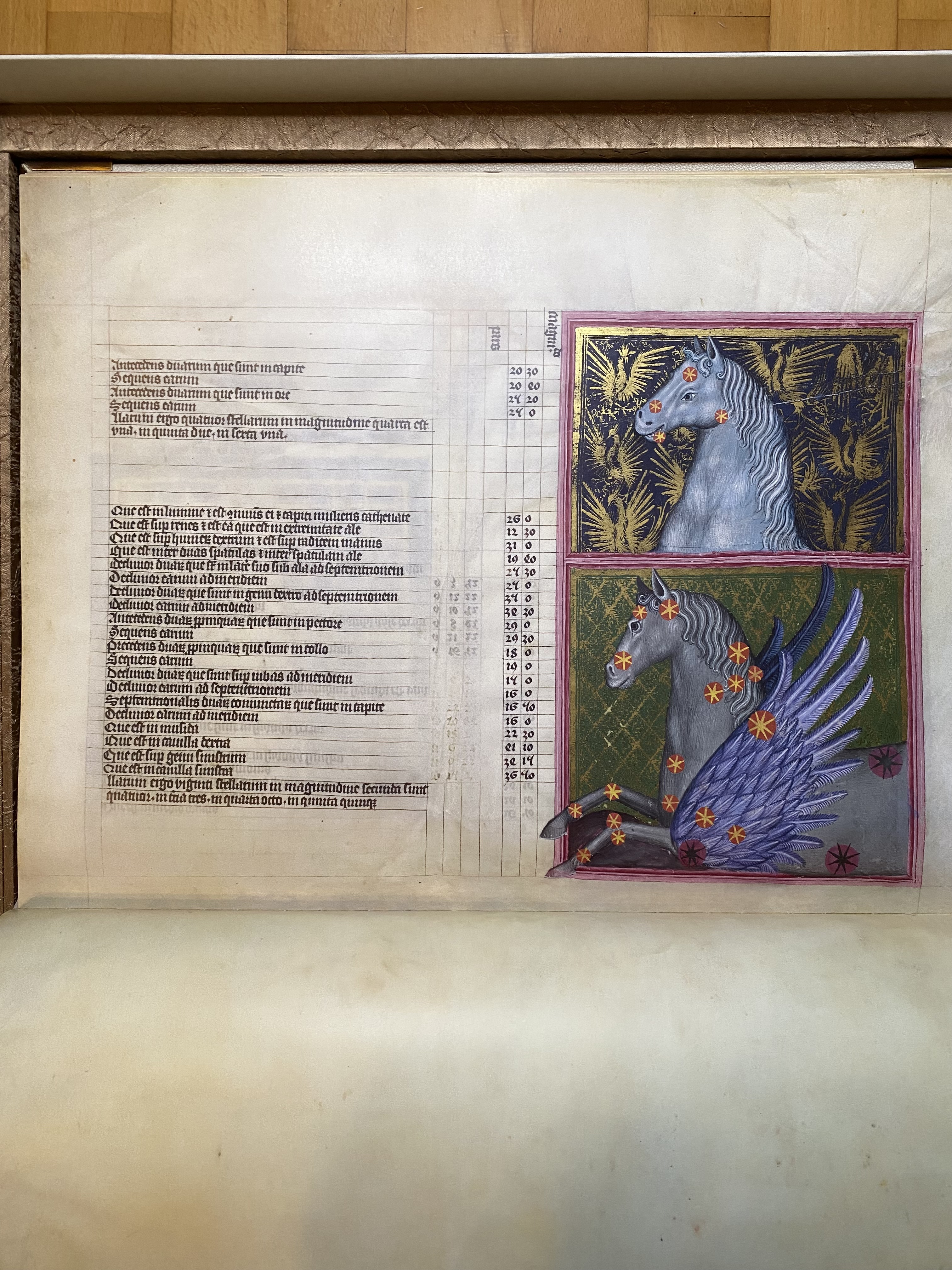 Codex König Wenzels